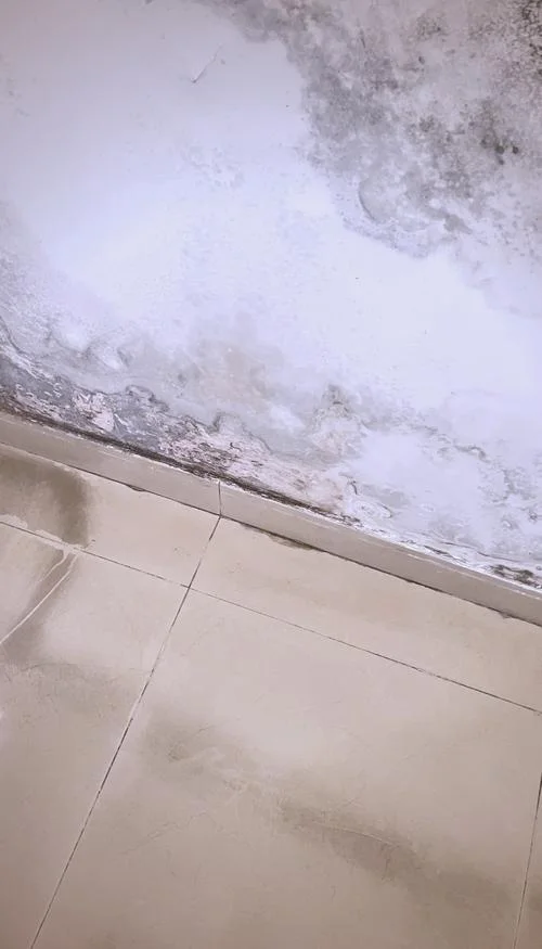 梦见自己家里漏水-梦见家里漏水