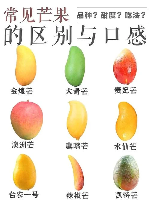 芒果是几月份的果-六月成熟芒果