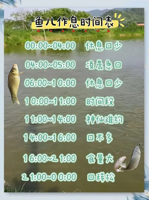 休渔期从几月到几月_1
