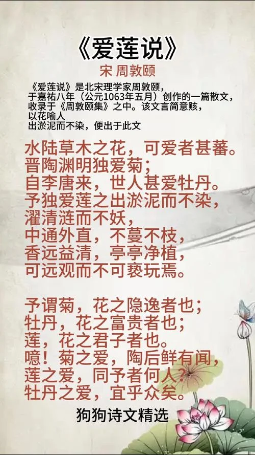 那一朵白莲已经谢了出自冰心的什么_2