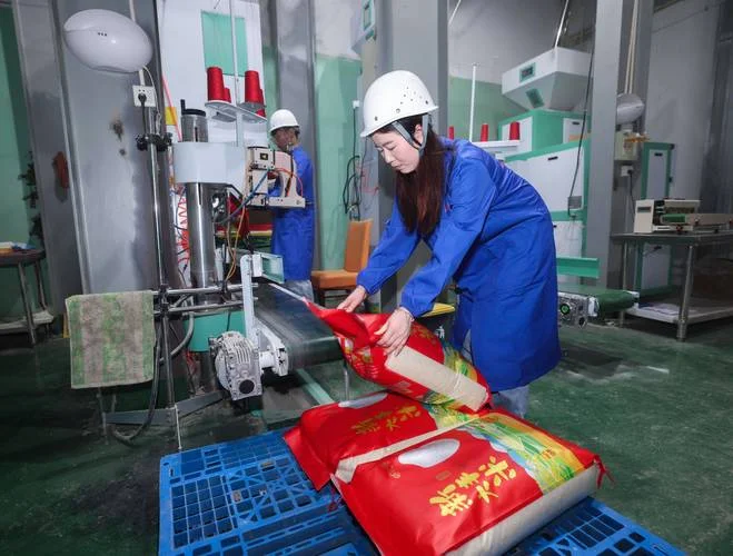 回乡创业成出国留学生热门选择_2