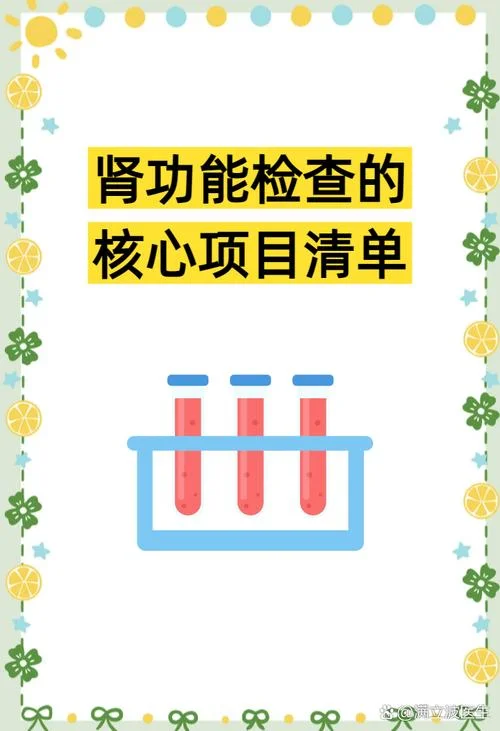 肾检查做什么项目_1