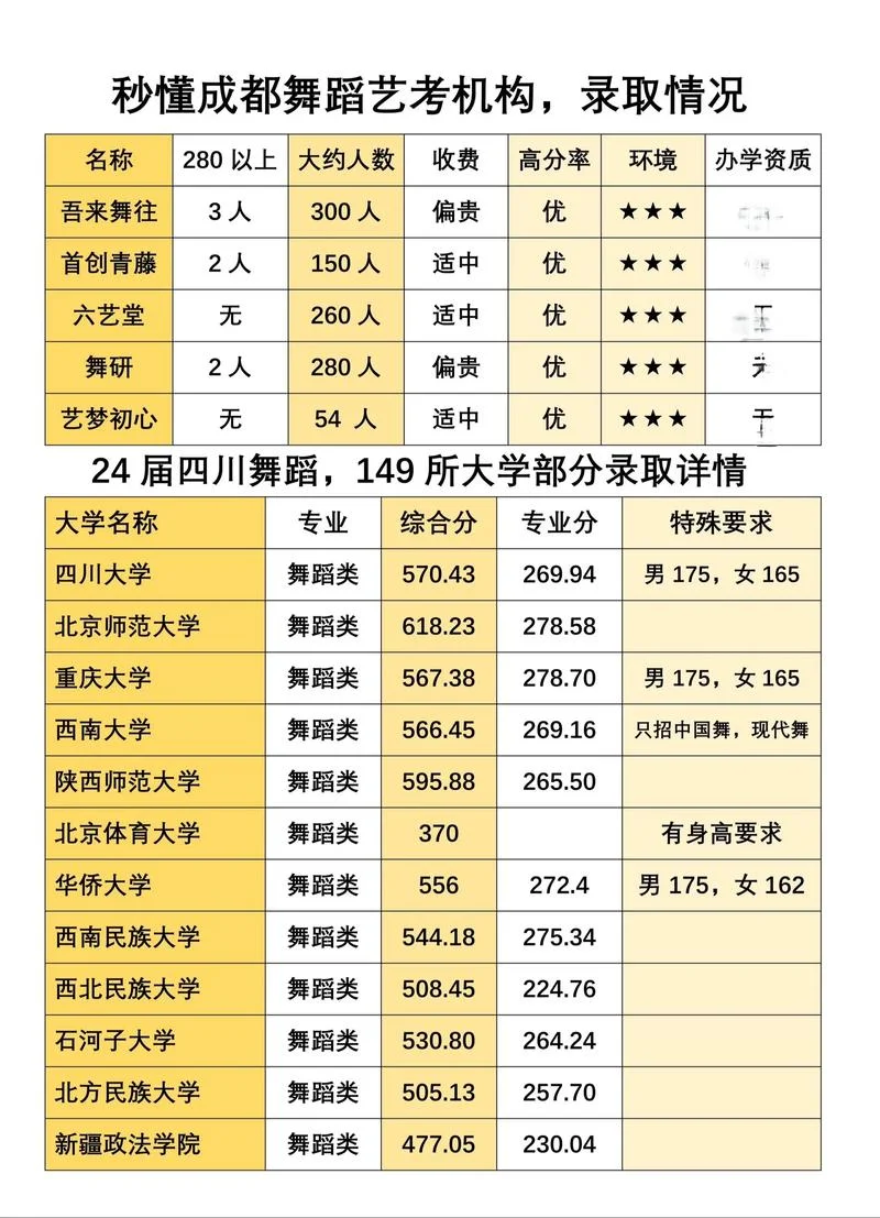 舞蹈艺考机构大概什么价钱_1