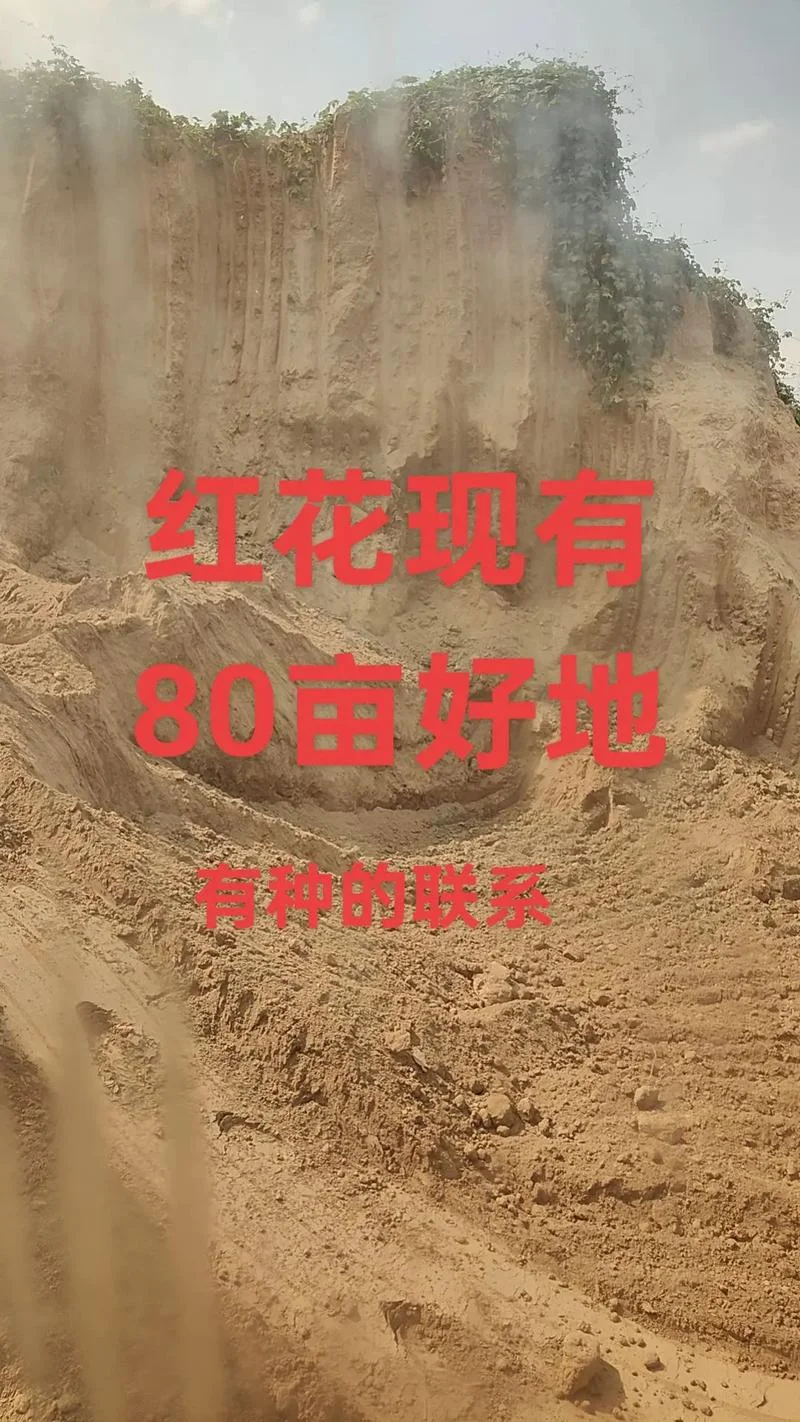 80亩地是多少平米_2