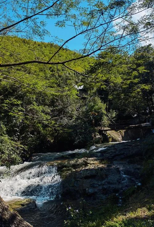 安吉免费旅游景点推荐_2