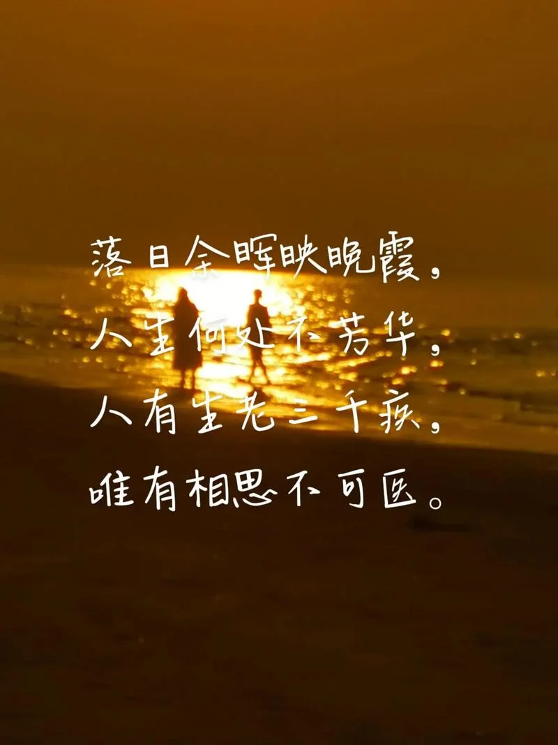 夕阳无限好下一句幽默_1