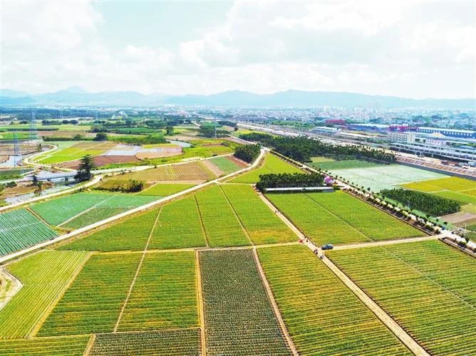 20万亩等于多少平方米_1